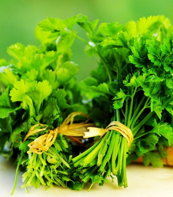 أوراق البقدونس