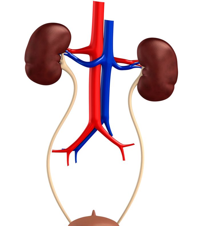 صور عن فوائد الليمون والماء