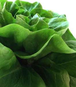 الخضار ذات الأوراق الخضراء الداكنة مثل السبانخ، السلق، البنجر الخضر واللفت 