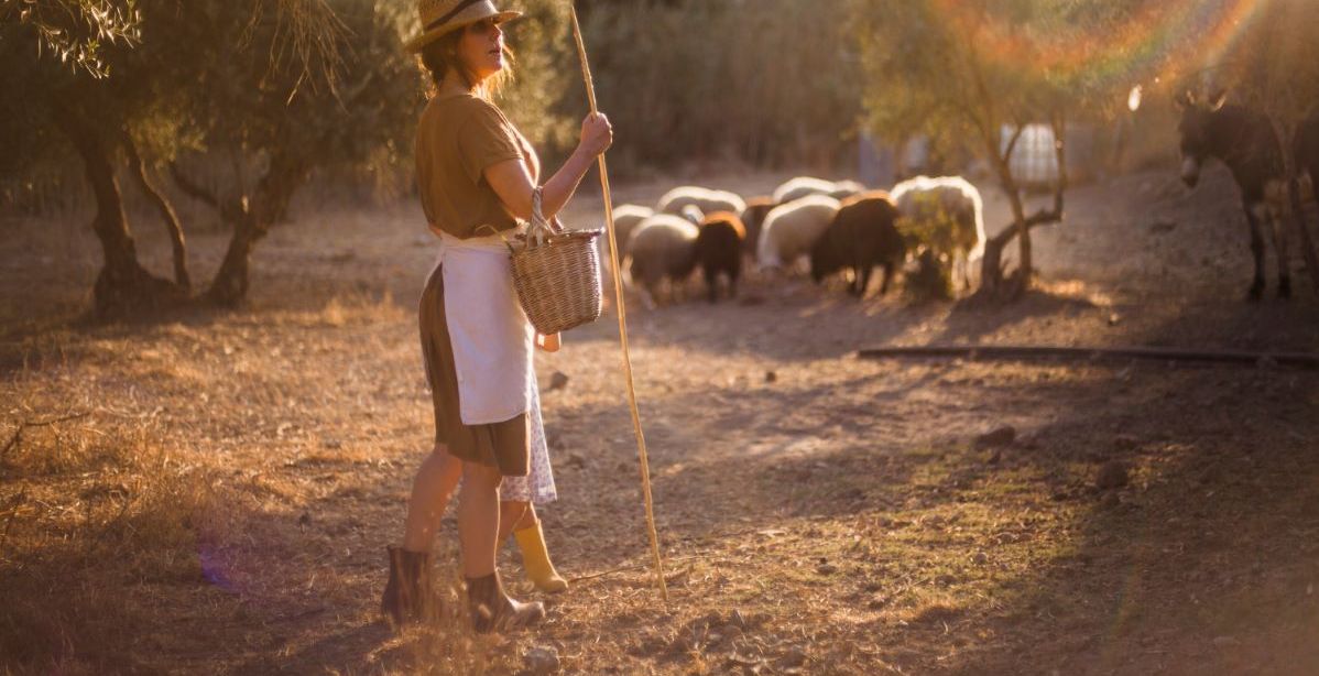 الخروف في المنام