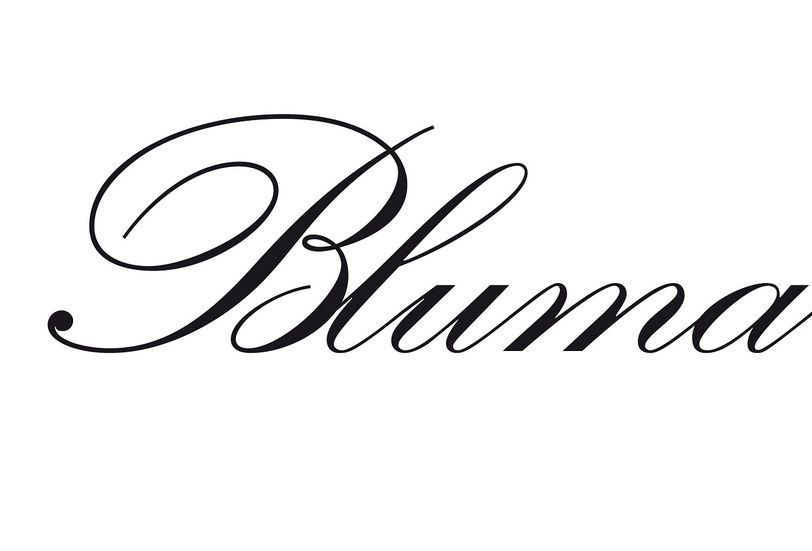 صورة شعار ماركة Bluemarine