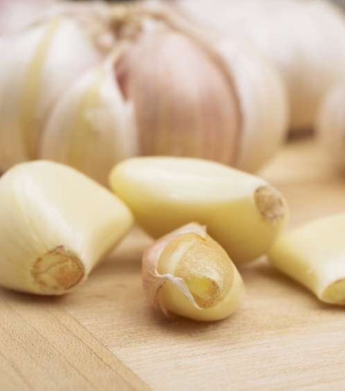 تقوية جهاز المناعة