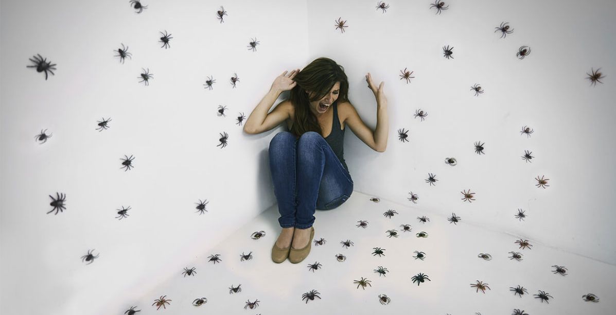 طريقة تفسير حلم العنكبوت