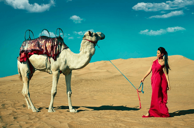 موديلات فساتين ناعمه | صور موضة فساتين 2013