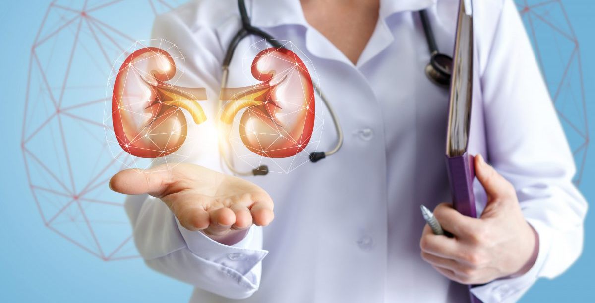 طريقة علاج امراض الكلى