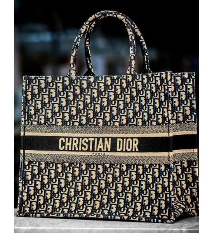 شنط ديور الاصليه