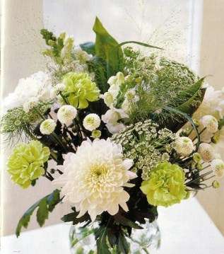 زهرة الشلال المثالية  Chrysanthemums