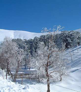 لبنان