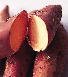 البطاطا الحلوة