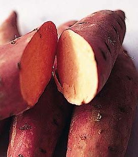 البطاطا الحلوة