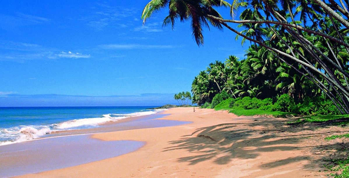 كل المعلومات عن السياحة في سريلانكا