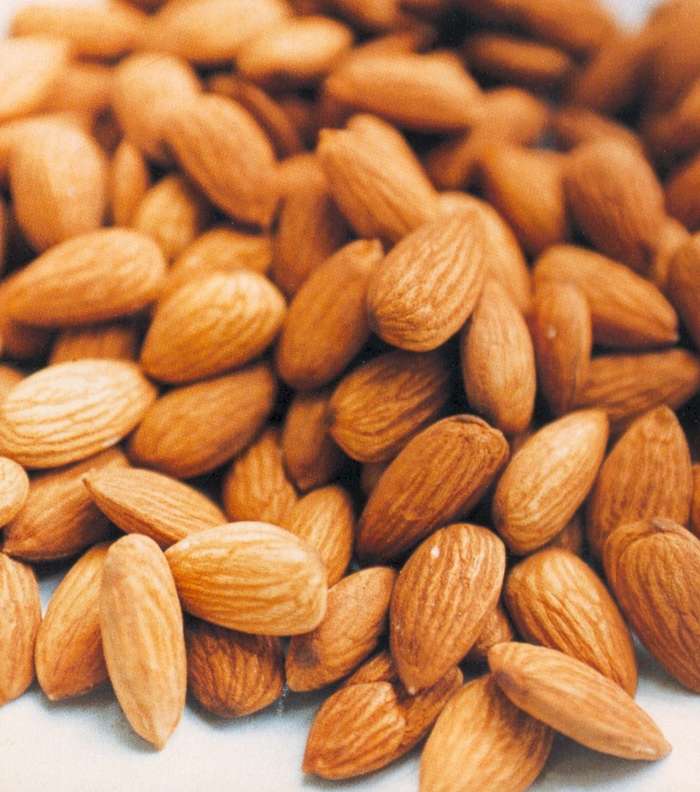 الخطوة الأولى: اللوز