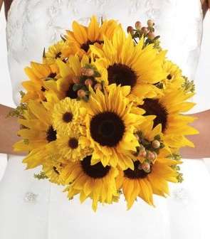  باقة من زهر دوّار الشمس 