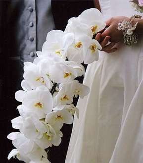 wedding-florist_9
