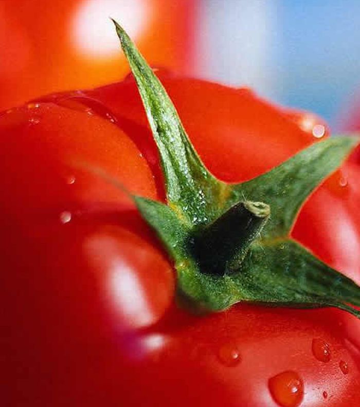 خلطات تبييض اليدين