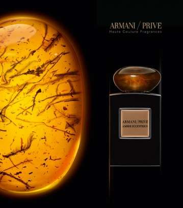 Ambre Eccentrico من﻿﻿ Giorgio Armani