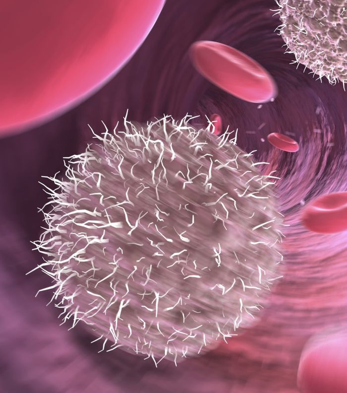 صور عن فوائد الليمون والماء