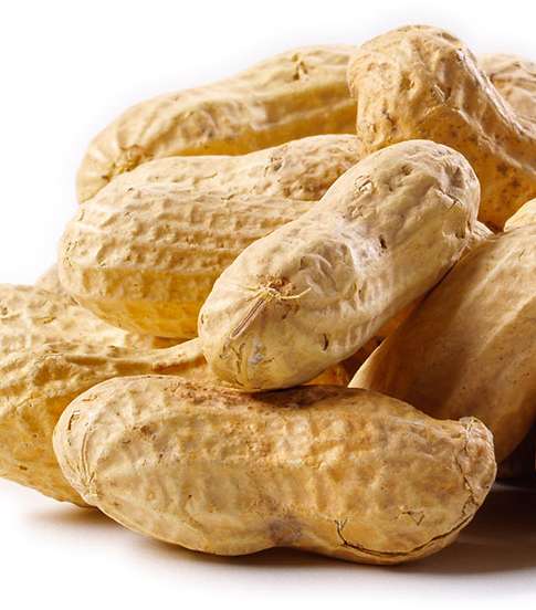 الأطعمة الغنيّة بالزنك