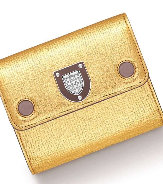 شنط ديور ٢٠١٧ بالصور