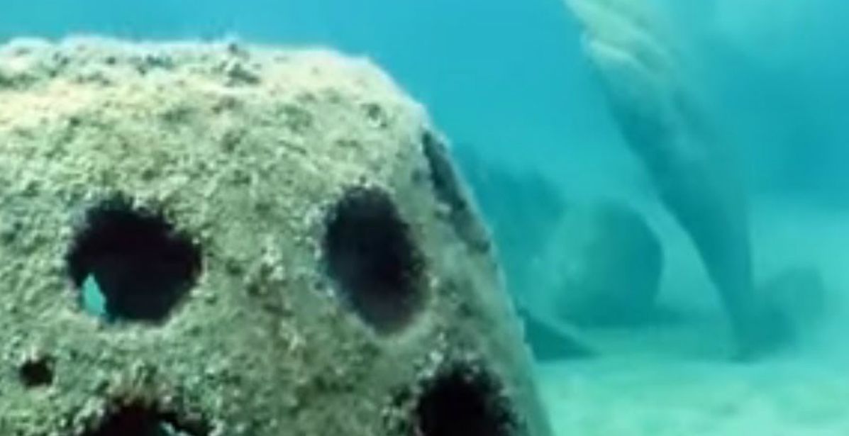 المجسمات التي تم تشكيلها تحت الماء 