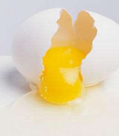 الخطوة الرابعة: صفار البيض