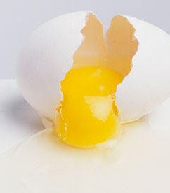 الخطوة الرابعة: صفار البيض