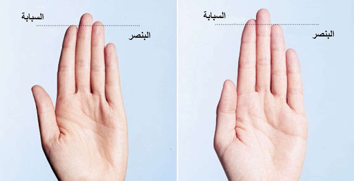 هذا ما يكشفه طول اصابعك عن شخصيتك!‏