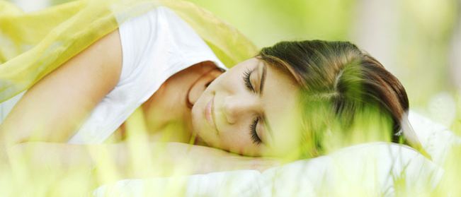 Grass, Plant, Sleeping