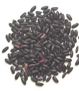 rice-blackforbidden-7-9-2010