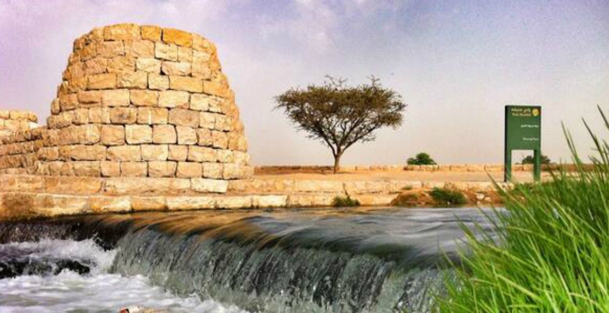 نشاطات يمارسها أفراد العائلة في وادي حنيفة 