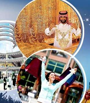  DSF 2013