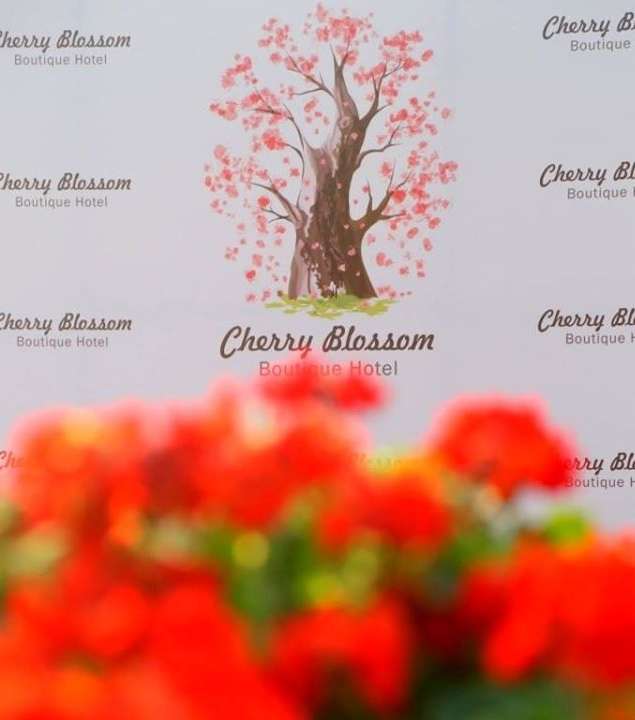 Cherry Blossom Boutique Hotel ...واحة من التميّز في أجمل مناطق لبنان 