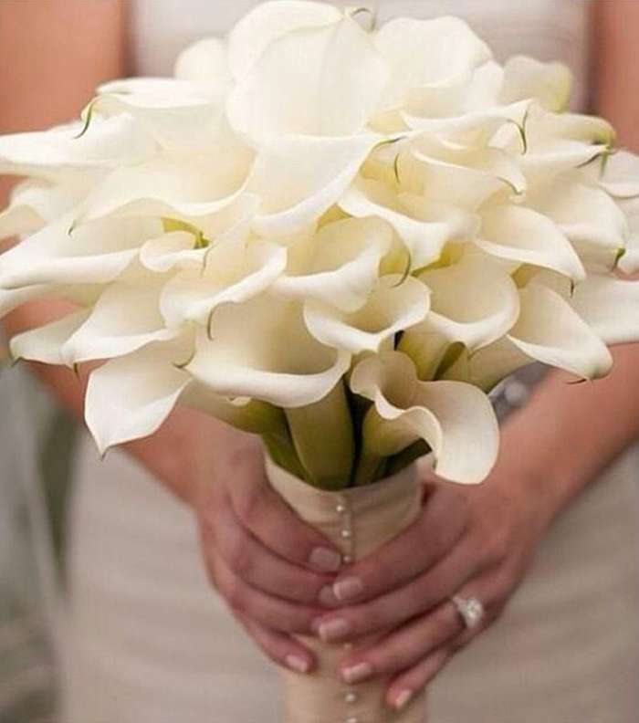 صور اروع مسكات عرايس 2017
