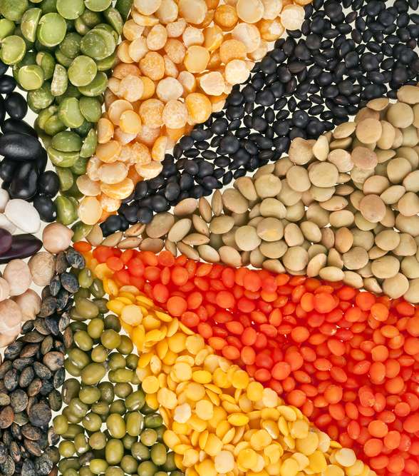 وتناولي مختلف أنواع الحبوب كالعدس واللوبياء والفاصولياء فهي تحتوي على نسبة عالية من الحديد.
