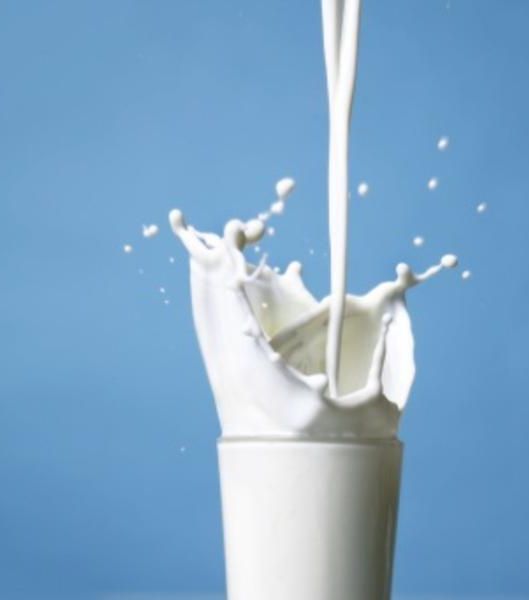 خلطة الحليب: 