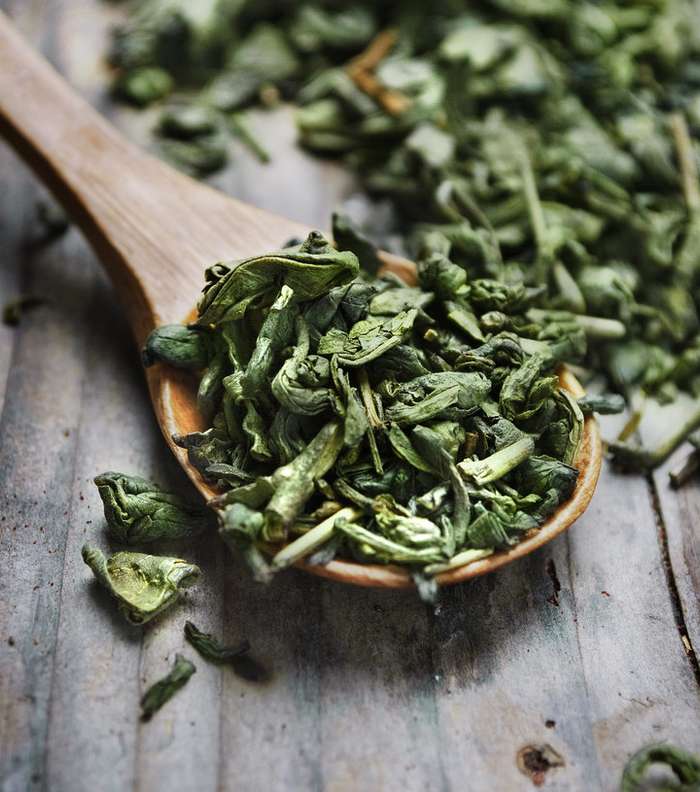 يحتوي الشاي الأخضر نسبة عالية من مضادات الأكسدة والكافيين 