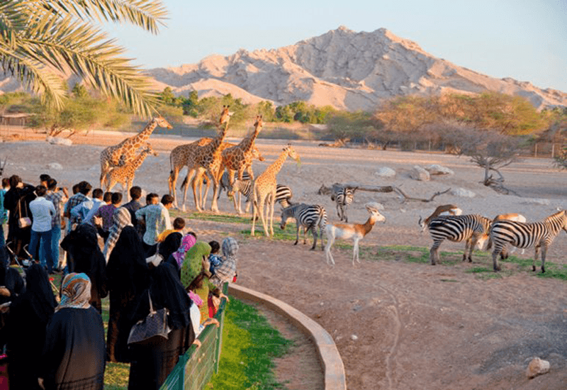 اجمل الاماكن في دبي للترفيه