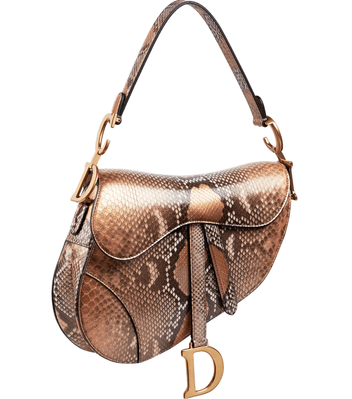 حقيبة Saddle باللون الذهبي من مجموعة Dior Or الكبسولة