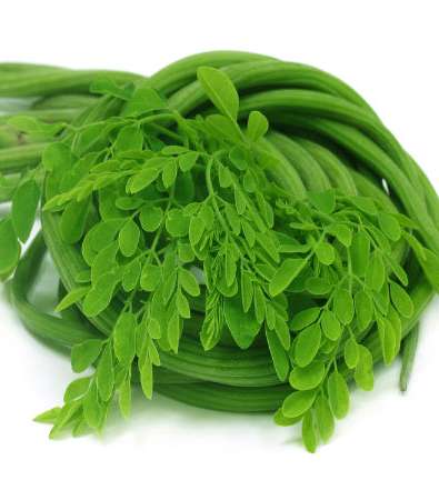 تنقية الجلد والتخلص من شوائب البشرة بواسطة أوراق المورينجا