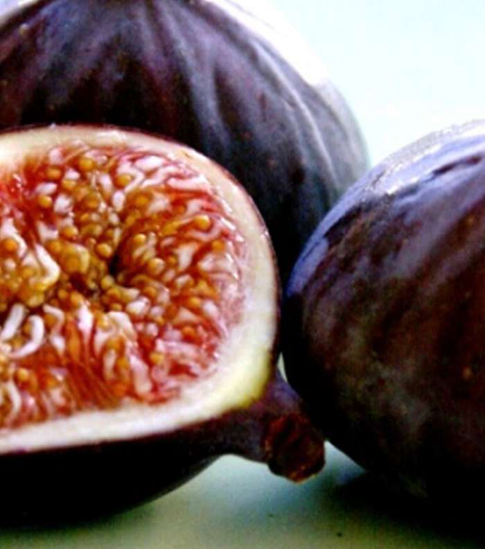 اطعمة من اجل علاج الامساك
