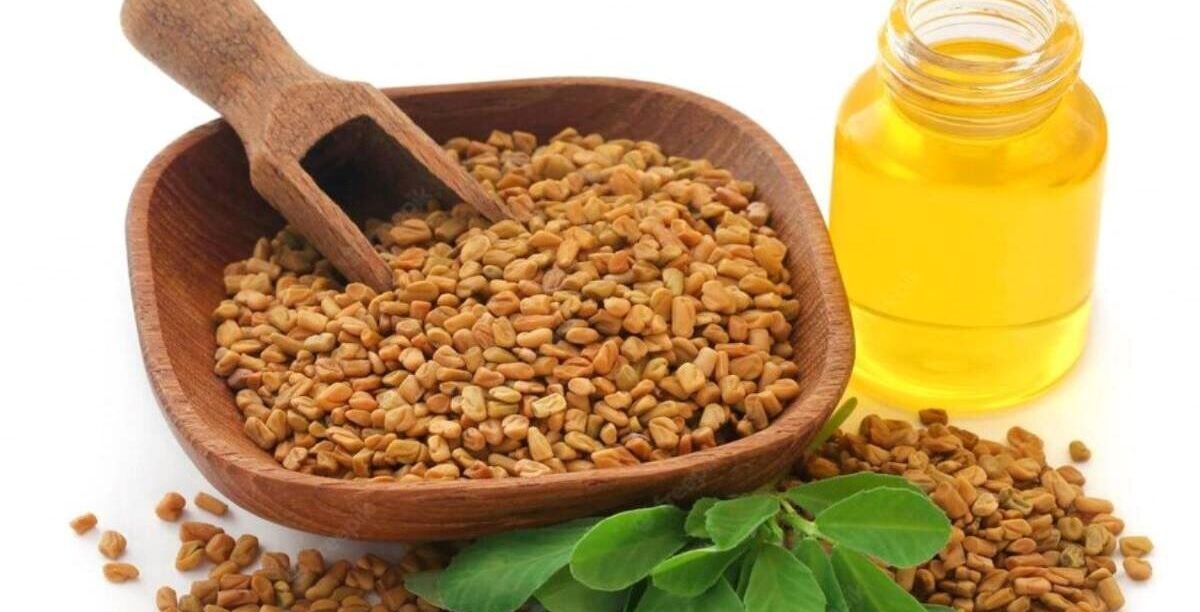 أضرار الحلبة للشعر 