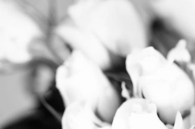 Sweets, Confectionery, Food