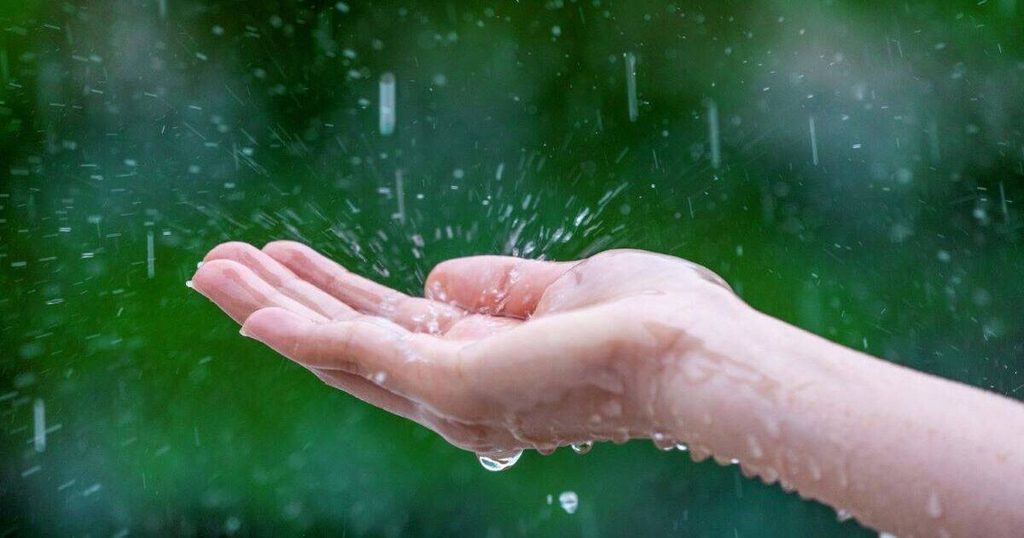 حلم نزول المطر