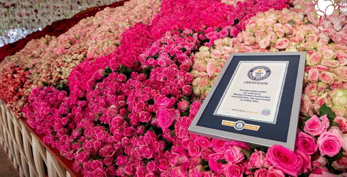 «سلة طائف الورد» تدخل موسوعة جينيس كأكبر سلة ورد في العالم