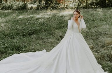 Clothing, Apparel, Wedding Gown