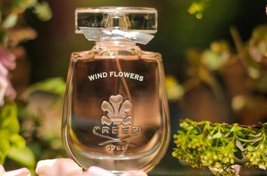 Bottle, Perfume, Cosmetics