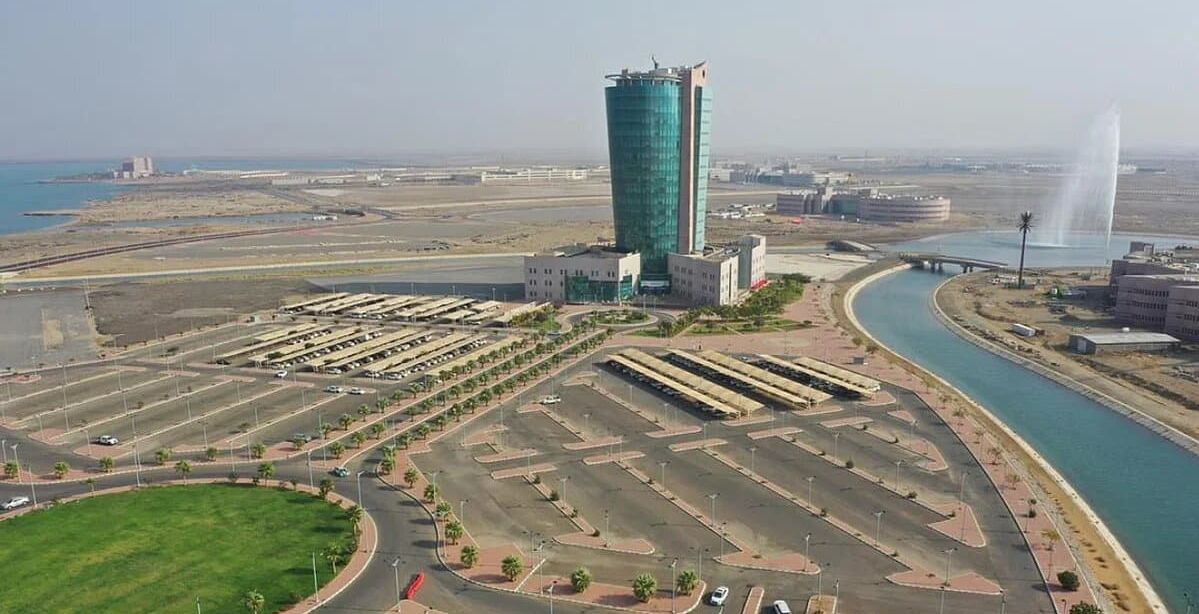 "مبادرة السعودية الخضراء" لزراعة أكثر من 1800 شجرة