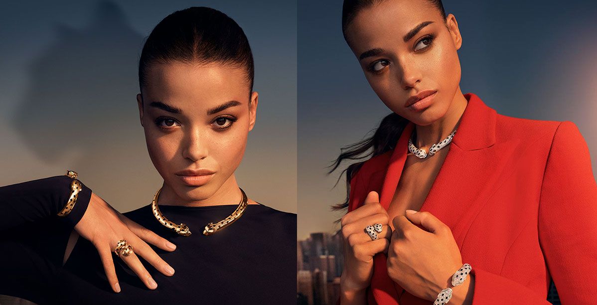 قصة بانتير دو كارتييه أيقونة Cartier