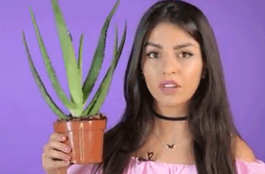 بالفيديو، استعمالات جمالية للالوفيرا
