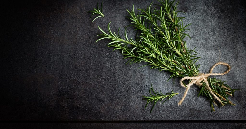 فوائد اكليل الجبل للشعر